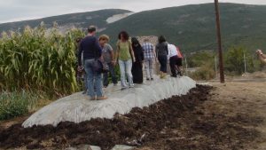 www.emhellas.com